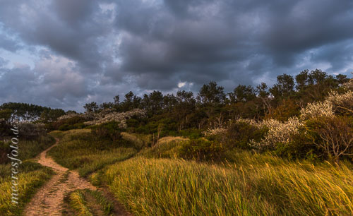  Die Dünenlandschaft oberhalb der Steilküste von Ahrenshoop nach Sonnenuntergang unter Sturmwolken