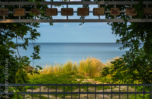  Blick von der Strandpromenade auf Dünengras und Ostsee an einem sonnigen Tag