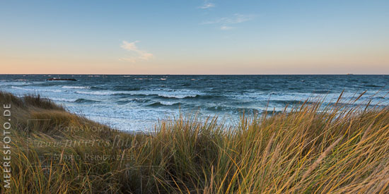 Die Brandung der Ostsee und Dünengras im stürmischen Wind an einem sonnigen Abend bei Heidkate.