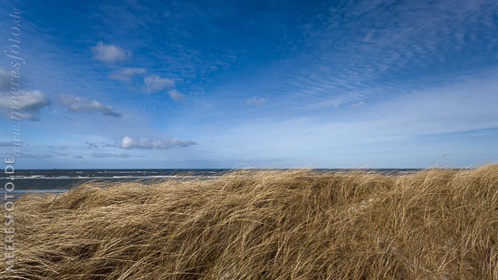 Die aufgewühlte Ostsee und Dünengras an einem Tag mit starkem Westwind bei Heidkate.