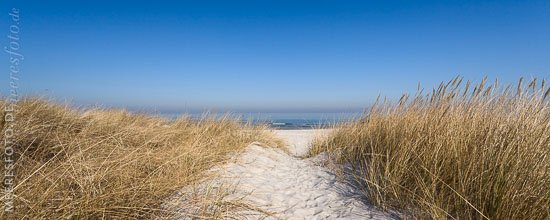 Blauer Himmel, Sonnenschein, Dünengras und ein Sandweg zum Ostseestrand bei Heidkate – mit Wellenkamm.