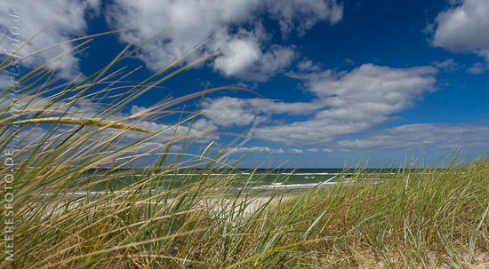 Ein Blick durch das Dünengras auf Wellen am Ostseeufer bei Heidkate.