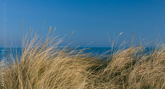 Der Horizont der Ostsee an einem sonnigem Tag im Frühjahr hinter Dünengras.