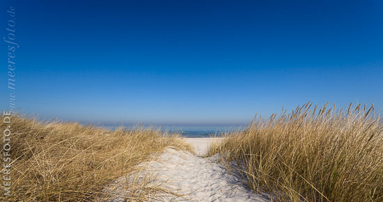 Blauer Himmel, Sonnenschein, Dünengras und ein Sandweg zum Ostseestrand bei Heidkate.