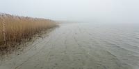  Das Ufer der Schlei bei Schleimünde im Nebel