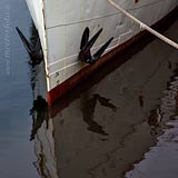  Der Bug des Raddampfers „Freya“ im Hafen von Kiel in seitlicher Ansicht –  DETAIL: Das historische Schiff spiegelt sich in der Wasseroberfläche der Ostsee.