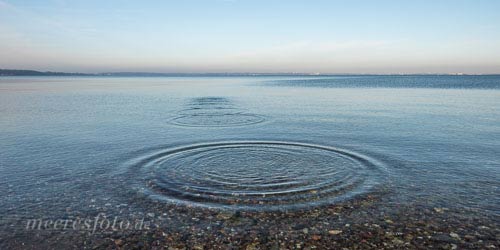 Kreisrunde Wellen auf der Ostsee durch einen gut „geditschten“ flachen Stein