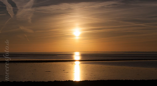 Im Gegenlicht des Sonnenuntergang an der Nordseeküste vor Nordstrand