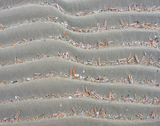  Muschelschalen und vielerlei sehr kleines Treibgut zwischen Sandrippen am Strand von Sankt Peter-Ording