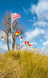 Flaggen an der Strandpromenade von Scharbeutz und Dünengras im frischen Wind eines sonnigen Ostseetages