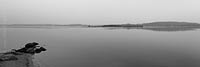  Die Möweninsel in der Schlei an einem diesigen Tag im Frühling in schwarzweiß und Panramafoto-Format