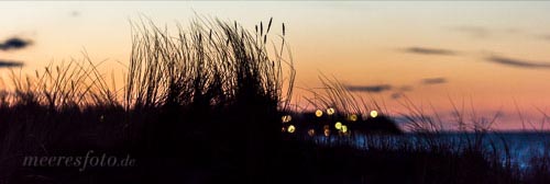 Dünengras und Ostseeblau im letzten Licht des Tages am Sehlendorfer Strand
