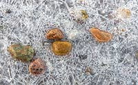  Steine in gesplittertem Eis am Strand von Surendorf –  DETAIL: Unter einer Eisschicht im Uferbereich der Ostsee vor Surendorf sind bunte Steine eingefroren. Teile der Steine schauen aus dem Eis heraus.