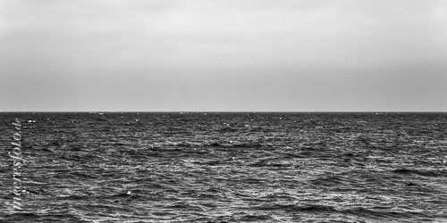  Der Horizont der Ostsee vor Wustrow bei Windstärke 5 bis 6 in schwarzweiß
