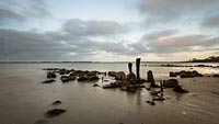  TITEL: »Steinbuhne mit alten Holzpfählen am Strand von Holnis an einem winterlichen Nachmittag« ORT: Ostsee, Flensburger Bucht, Halbinsel Holnis.