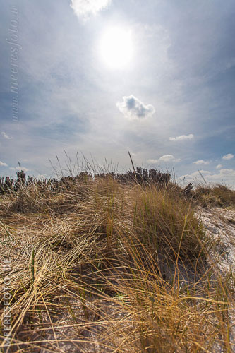  Sanddüne vor Kalifornien im Gegenlicht –  DETAIL: Das Foto zeigt eine Sanddüne mit Befestigungspackungen und Dünengras, am Strand von Kalifornien bei Schönberg. Die Sonne wird durch einige Schleierwolken leicht verdeckt.