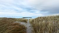  Die Ostsee an der Kieler Aussenförde mit einer Steinbuhne und einem Weg durch die Dünen