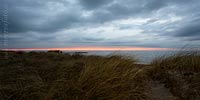  Der Wind streift durch das Dünengras während eines Sonnenuntergangs an der Kieler Aussenförde