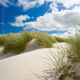  Sand, Dünengras blauer Himmel und Wolken im Sommer bei Wisch