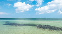  ARBEITSTITEL: Türkisfarbene Ostsee mit Krautbank an einem Sommertag vor Kalifornien am Schönberger Strand