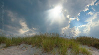  Heidkate – Juni-00214 –  DETAIL: Sonnenstrahlen brechen durch Regenwolken über den Dünen von Heidkate.
