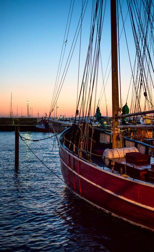 Abendsegler in Laboe