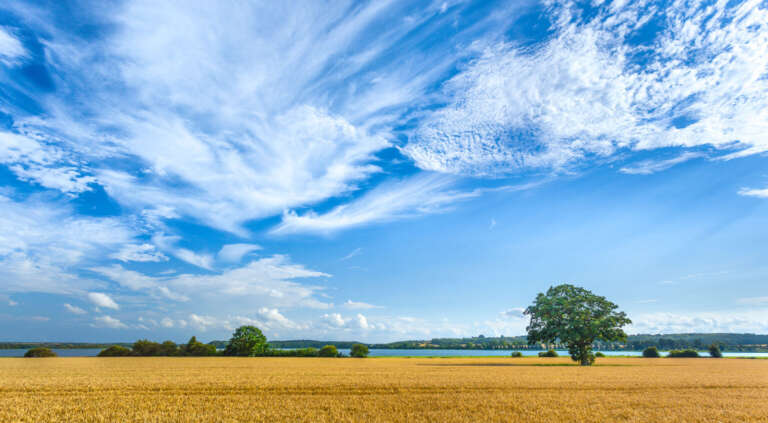 Behrensdorfer Binnensee unter Sommerwolken