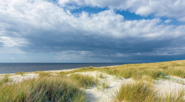 Dünen im Sonnenlicht unter schweren Wolken