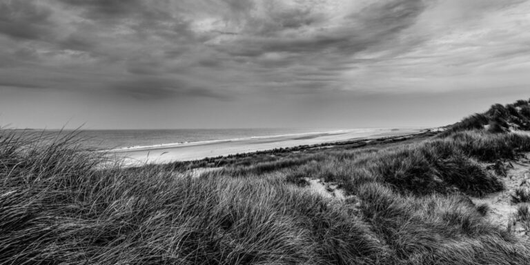 Dünen im Sturm auf Amrum SW