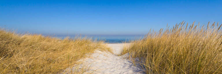 Dünen und ruhige Ostsee im Sommerlicht