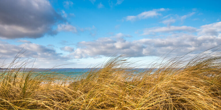 Dünengras und Ostsee am Timmendorfer Strand