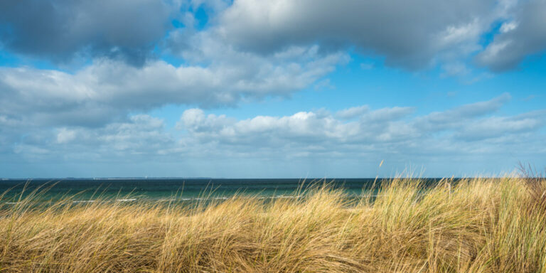 Dünengras und Ostsee in Niendorf