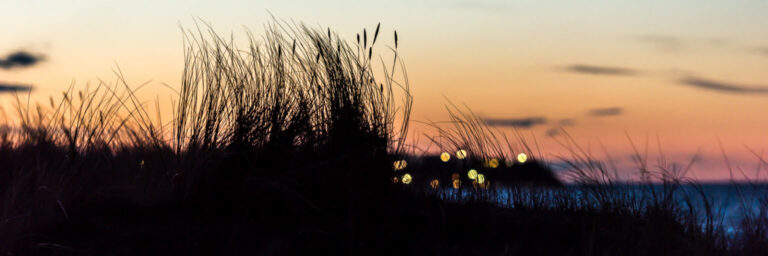 Dünengras und Ostseeblau am Abend