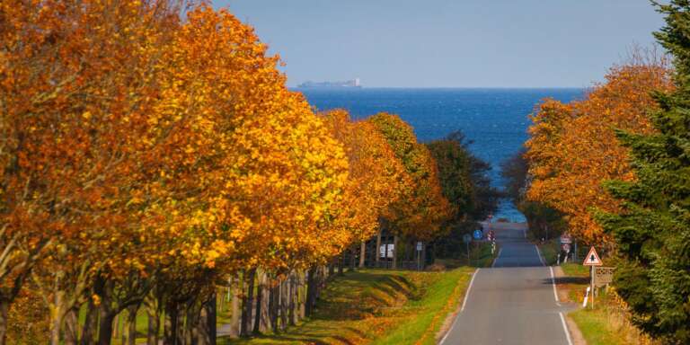 Herbst vor der Ostsee bei Hohenfelde