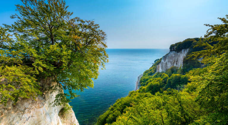 Kreidefelsen der Victoriasicht auf Rügen