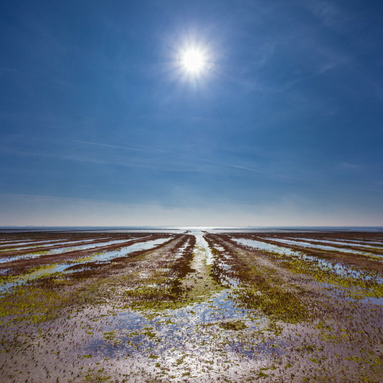 Landgewinnung vor Nordstrand im Gegenlicht<br> EDITION | KLEINE MEERESBILDER