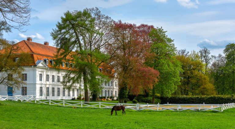 Pferdekoppel vor dem Torhaus auf Gut Panker