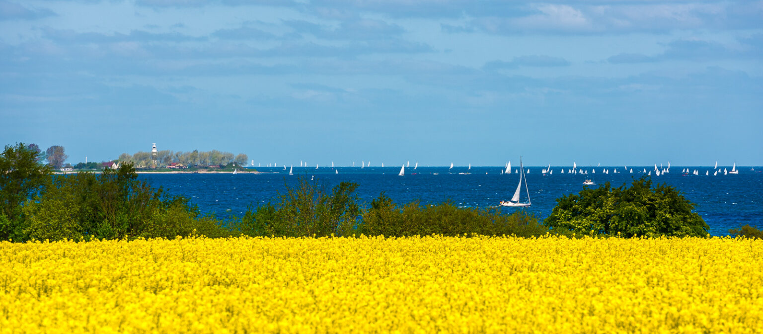 Raps mit Seglern vor Laboe