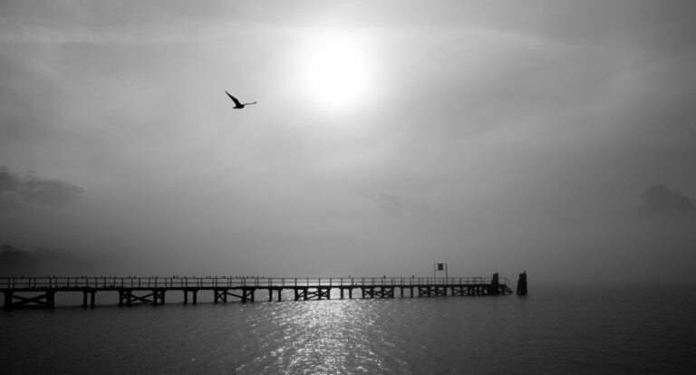 Seebrücke von Altheikendorf im Nebel