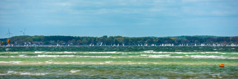 Segelregatta auf der Kieler Förde vor Laboe