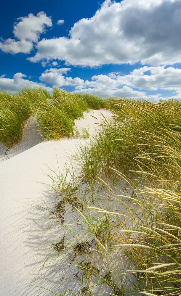 Sommerdünen in Heidkate