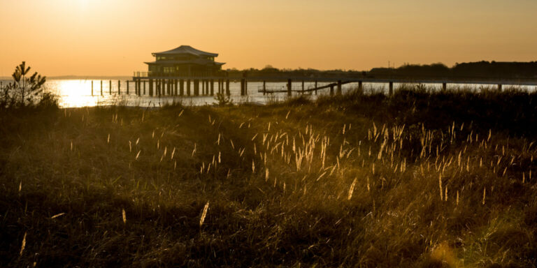 Strandhafer im Morgenlicht am Timmendorfer Strand