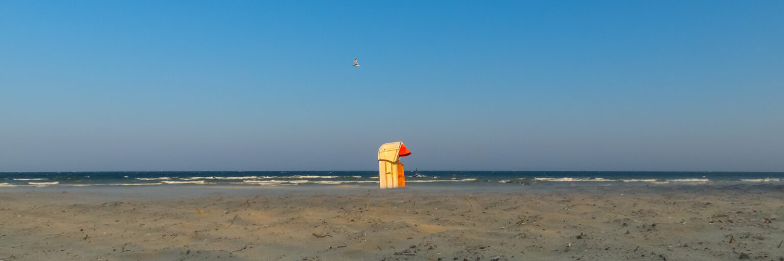 Strandkorb und Möwe in Großenbrode