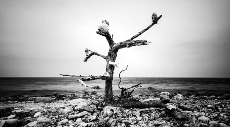 Strandkunst an der Eckernförder Bucht