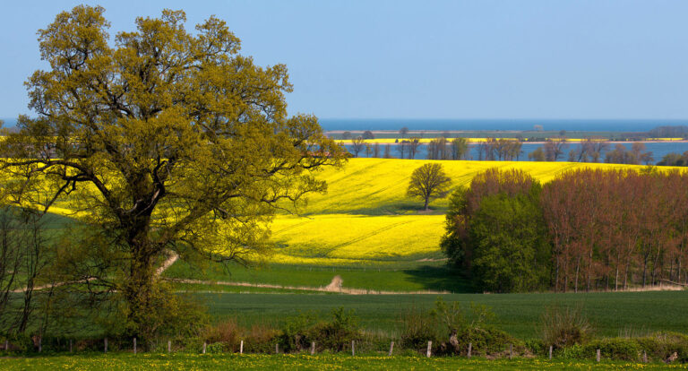 Frühling an der Ostsee